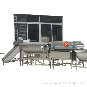 Bubble Washing Machine For Vegetable Fruit Cleaning Machine